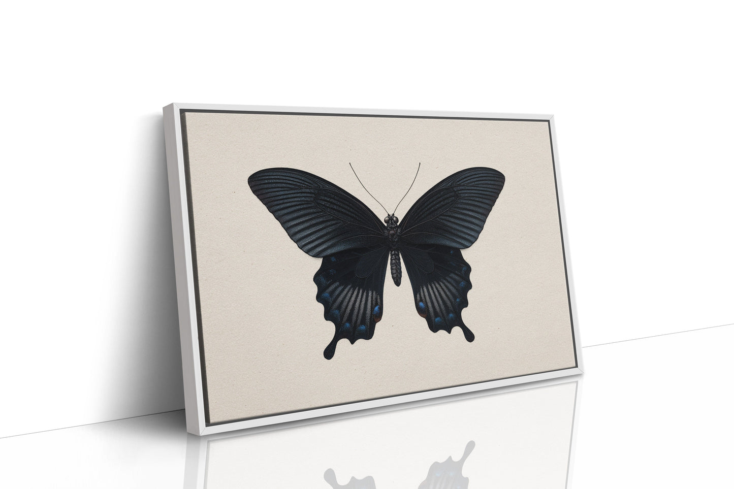 Midnight Sails On Velvet Wings