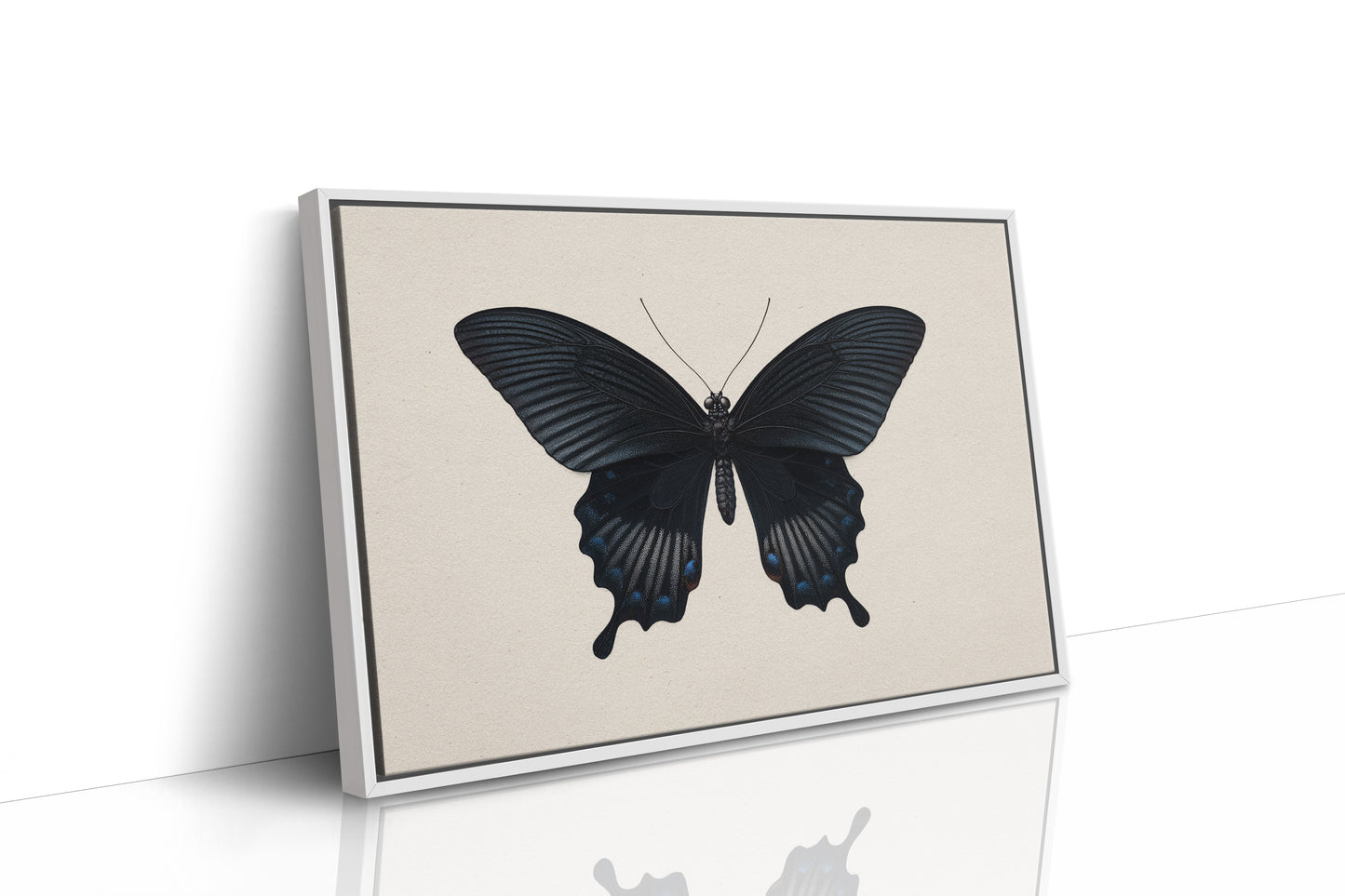 Midnight Sails On Velvet Wings