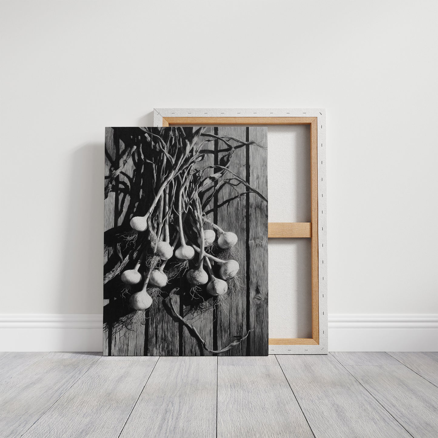 Garlic Hanging In Shadow