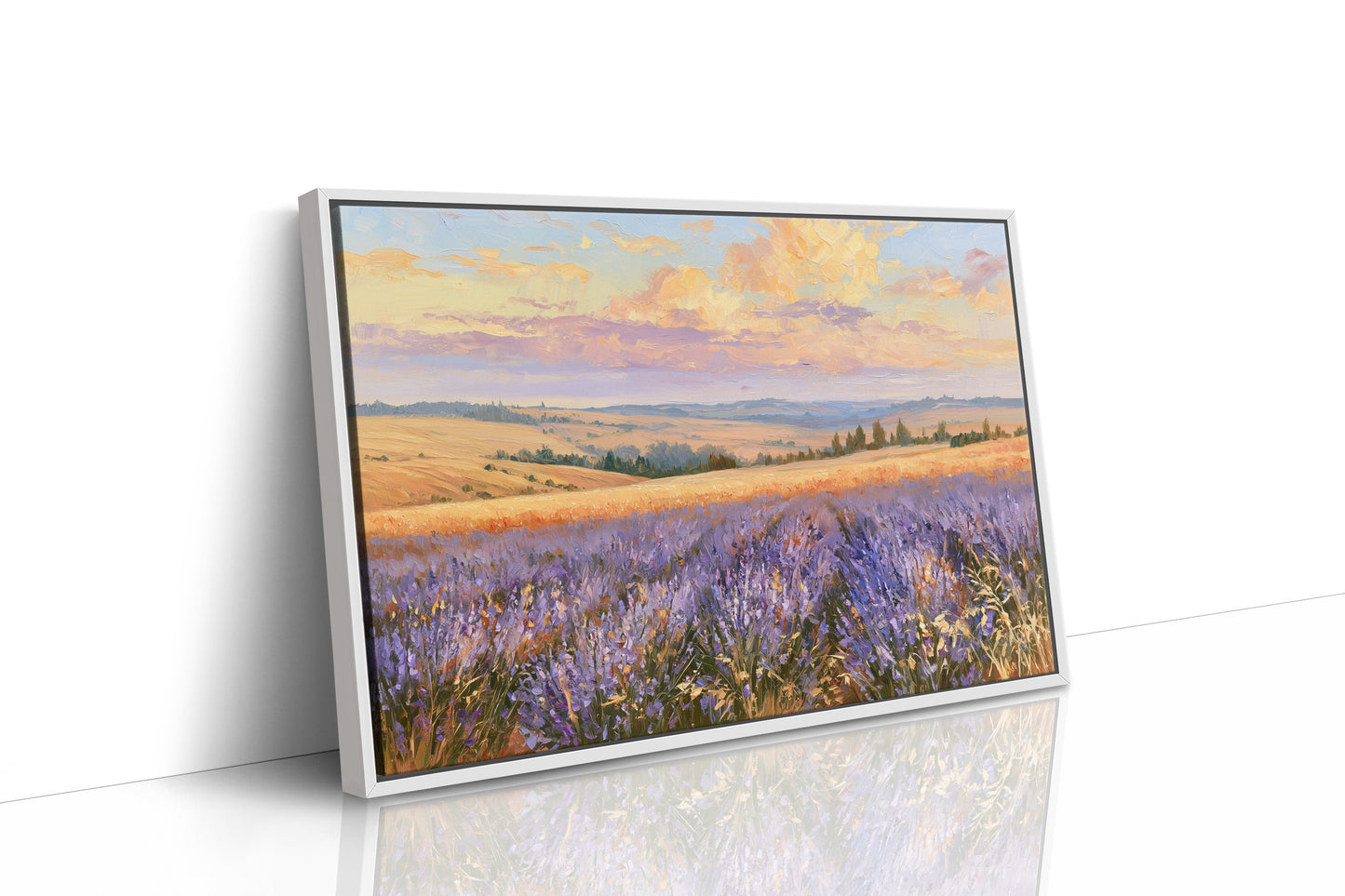 Lavender Fields, Golden Hour
