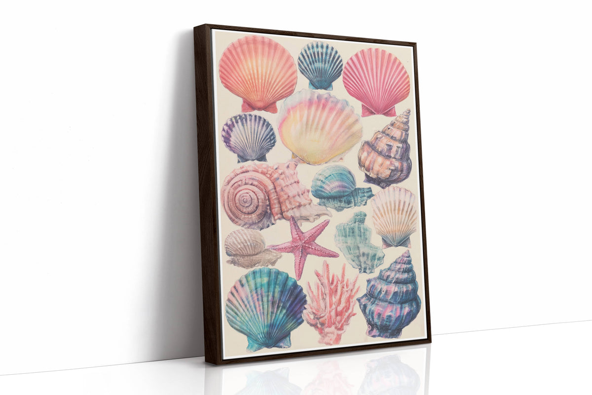 Treasures From Tidal Shores