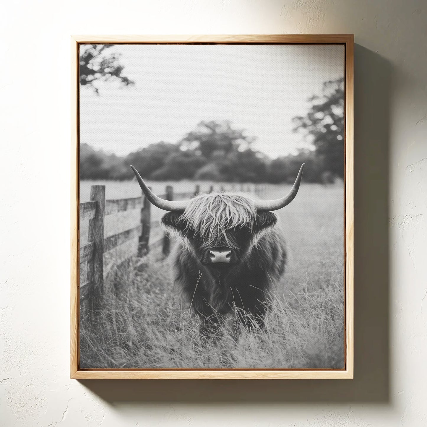 Highland Gaze in Black and White