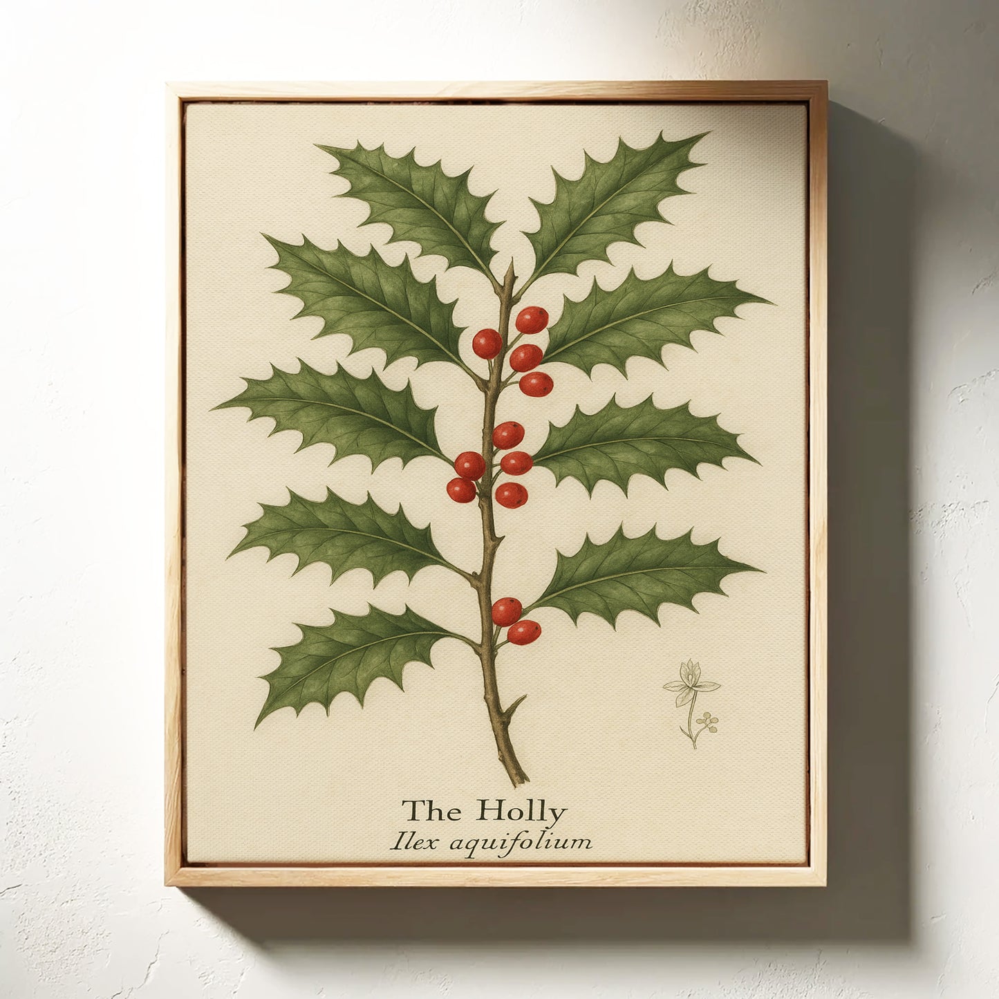 The Holly Botanical Art Print