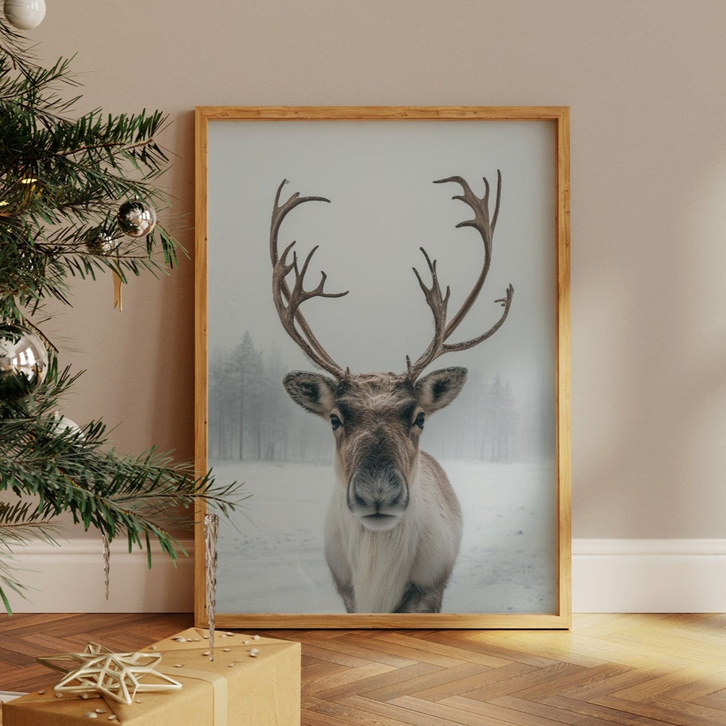 December's Gentle Northern Prince