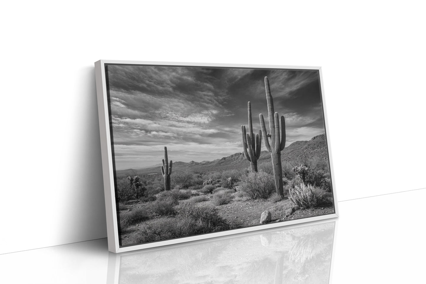 Tall Tales From Sonoran Skies