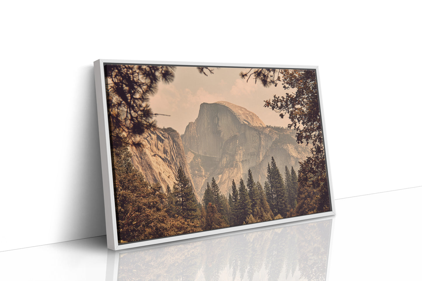 Ancient Granite Catches Golden Light