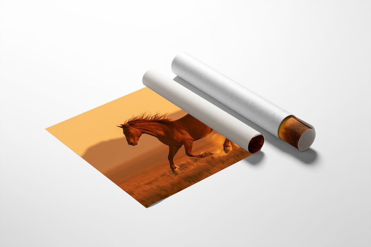 Chestnut Mustang at Golden Hour