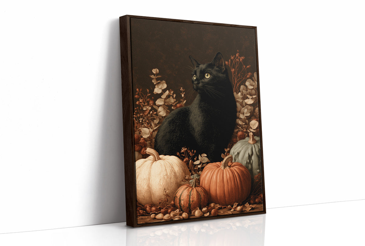 Black Cat and the Heirloom Pumpkins