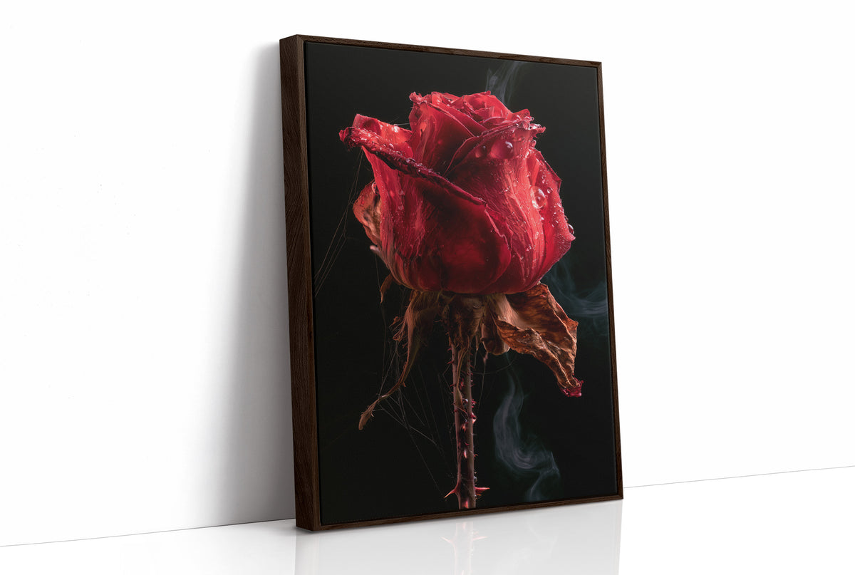 Beautiful Decay, One Red Rose