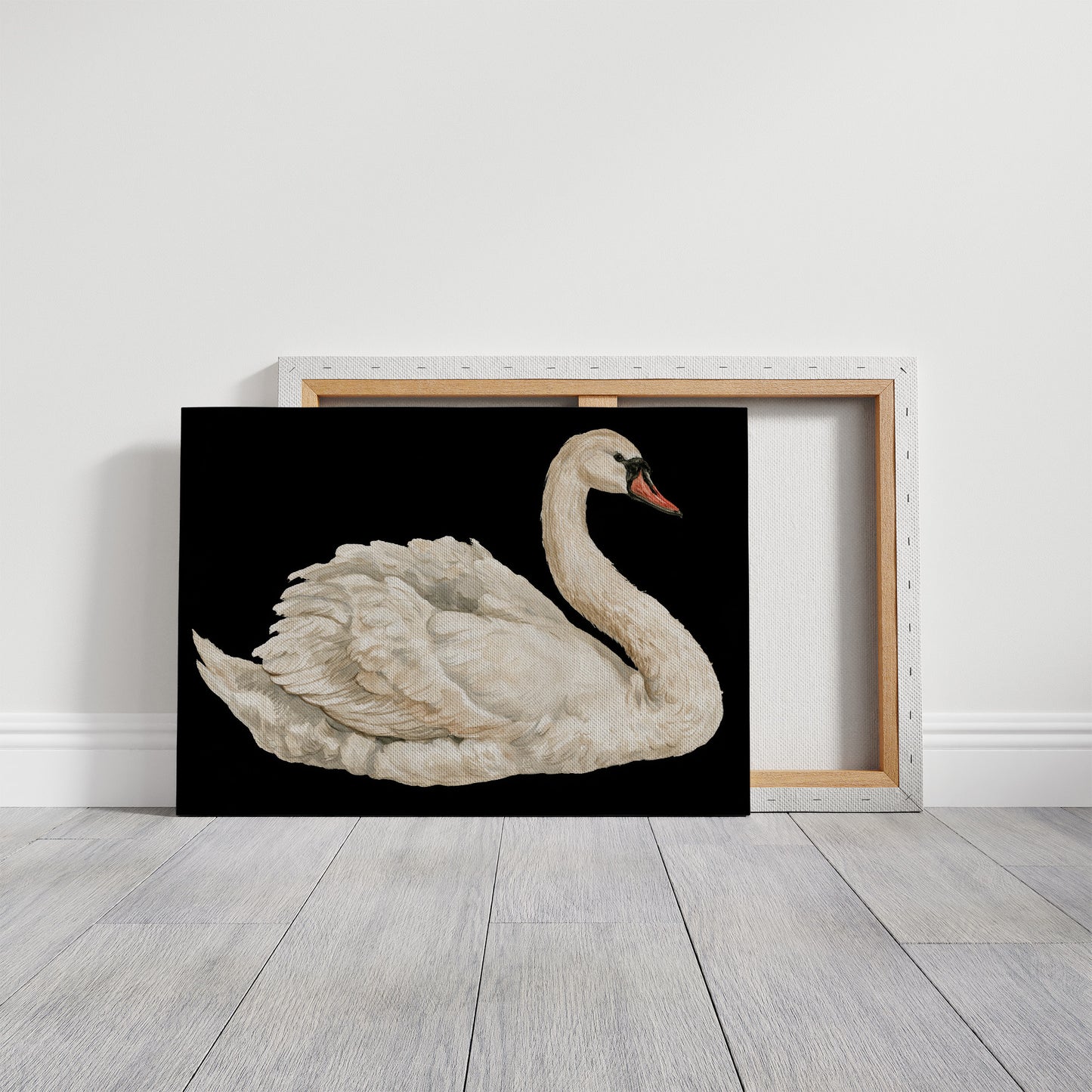 Swan, Study in White