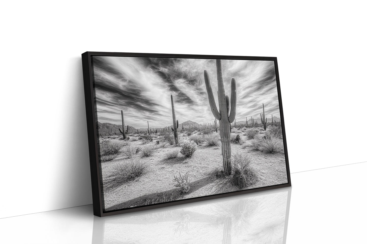 Saguaro Silence in Black and White
