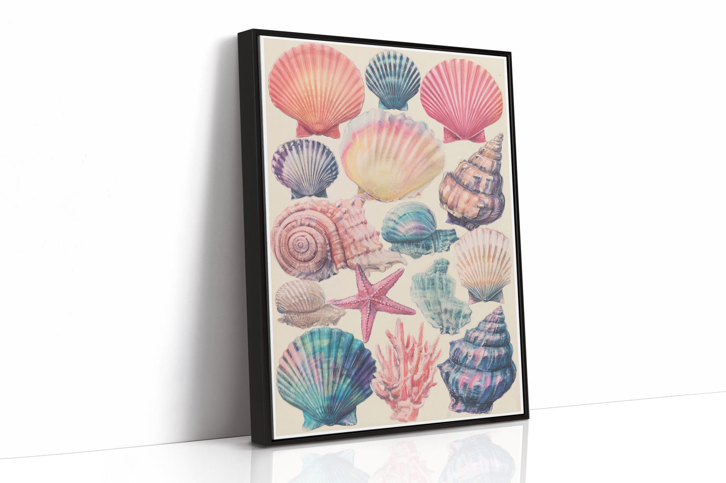 Treasures From Tidal Shores