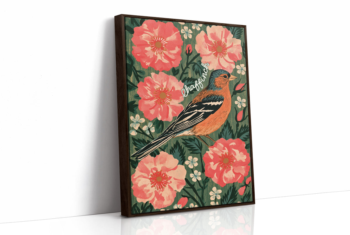 Chaffinch in Full Bloom