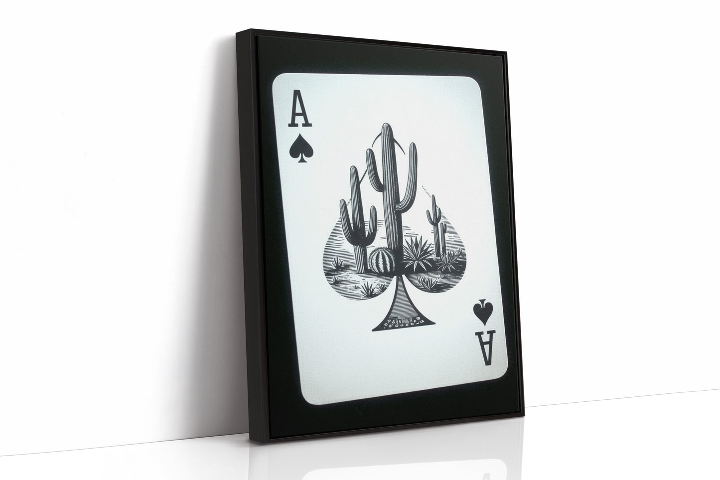 Desert Ace in Black and White