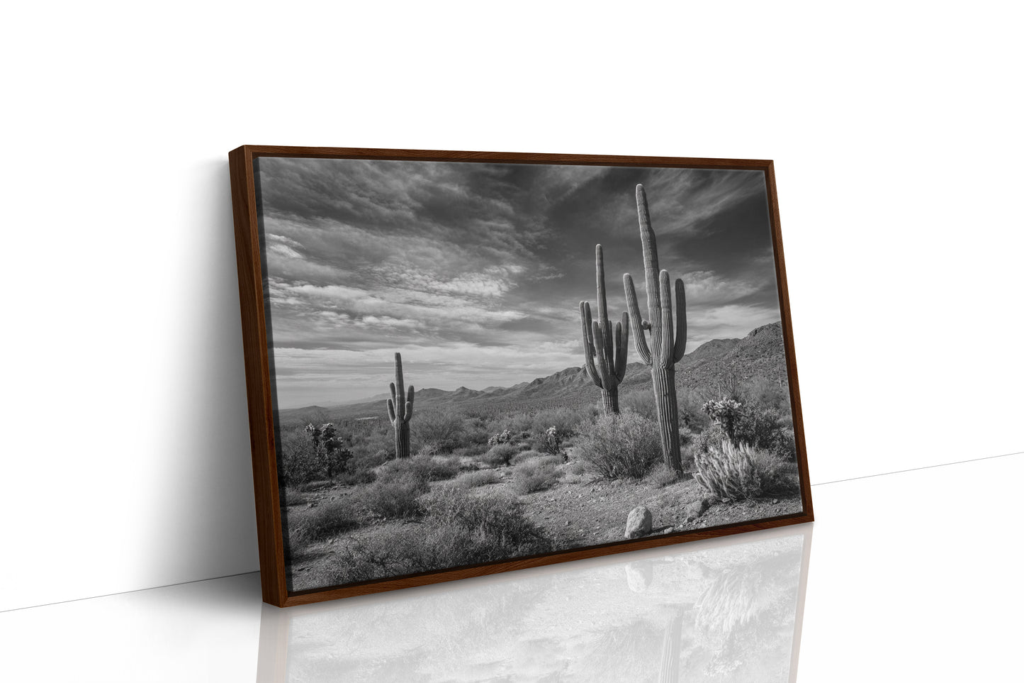 Tall Tales From Sonoran Skies