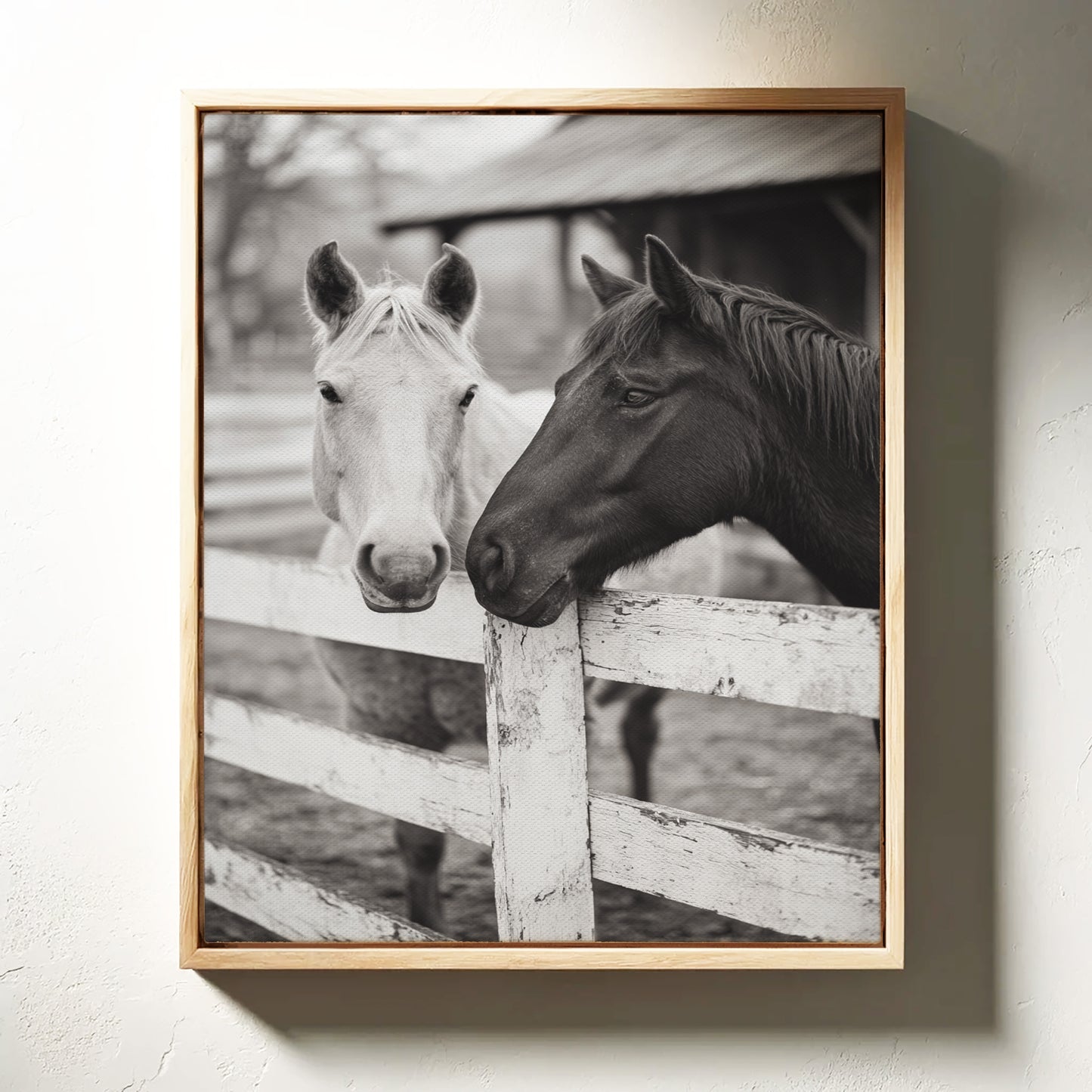 Old Friends at the Fence