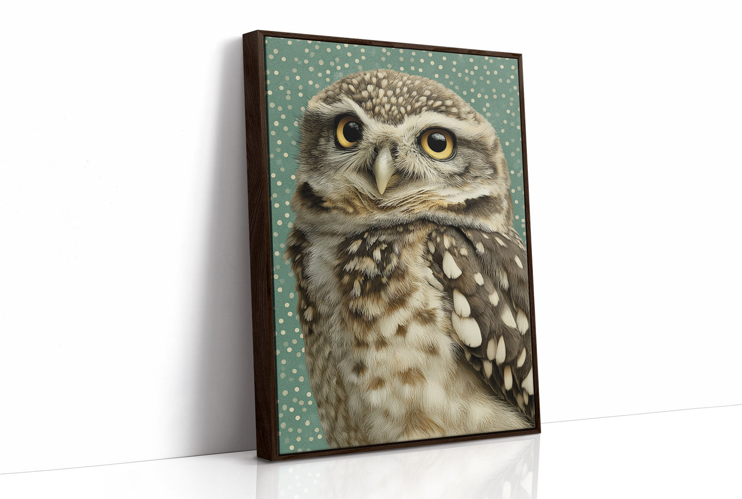 Wide-Eyed Little Owl
