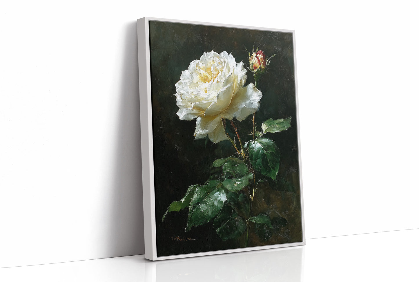The White Rose Holds Its Light