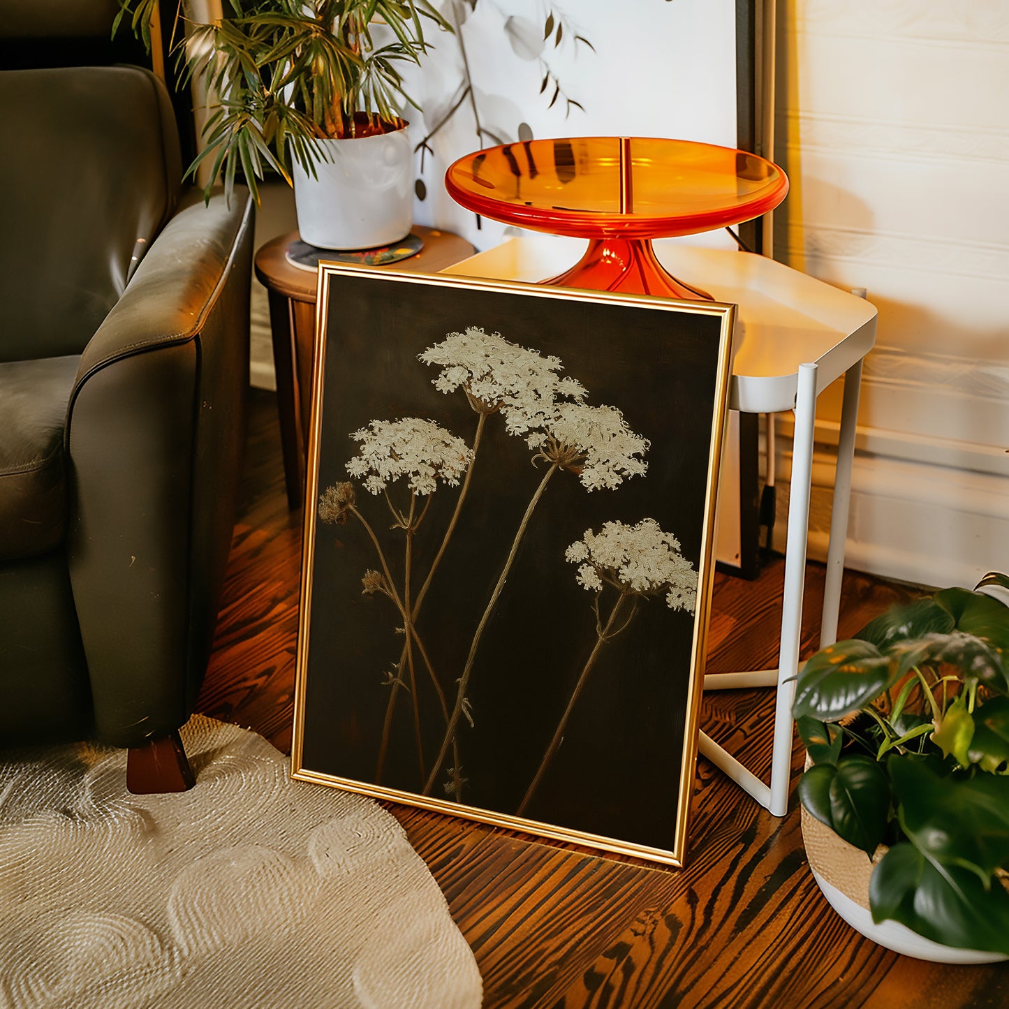 Queen Annes Lace in Late Autumn Light