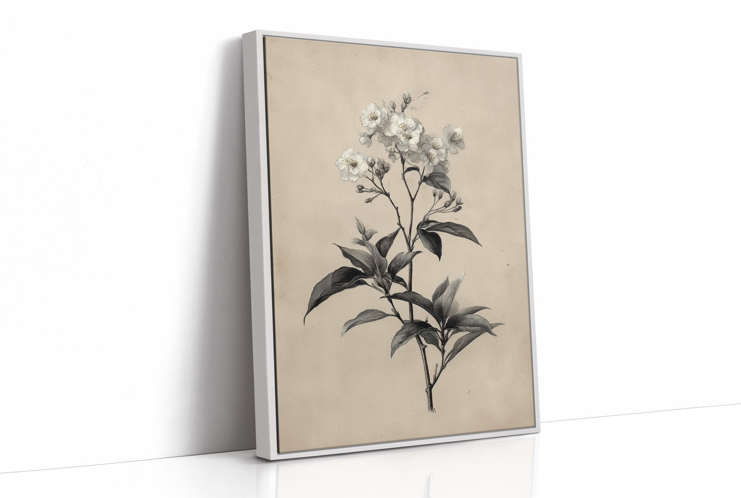 Drawn the Morning It Bloomed