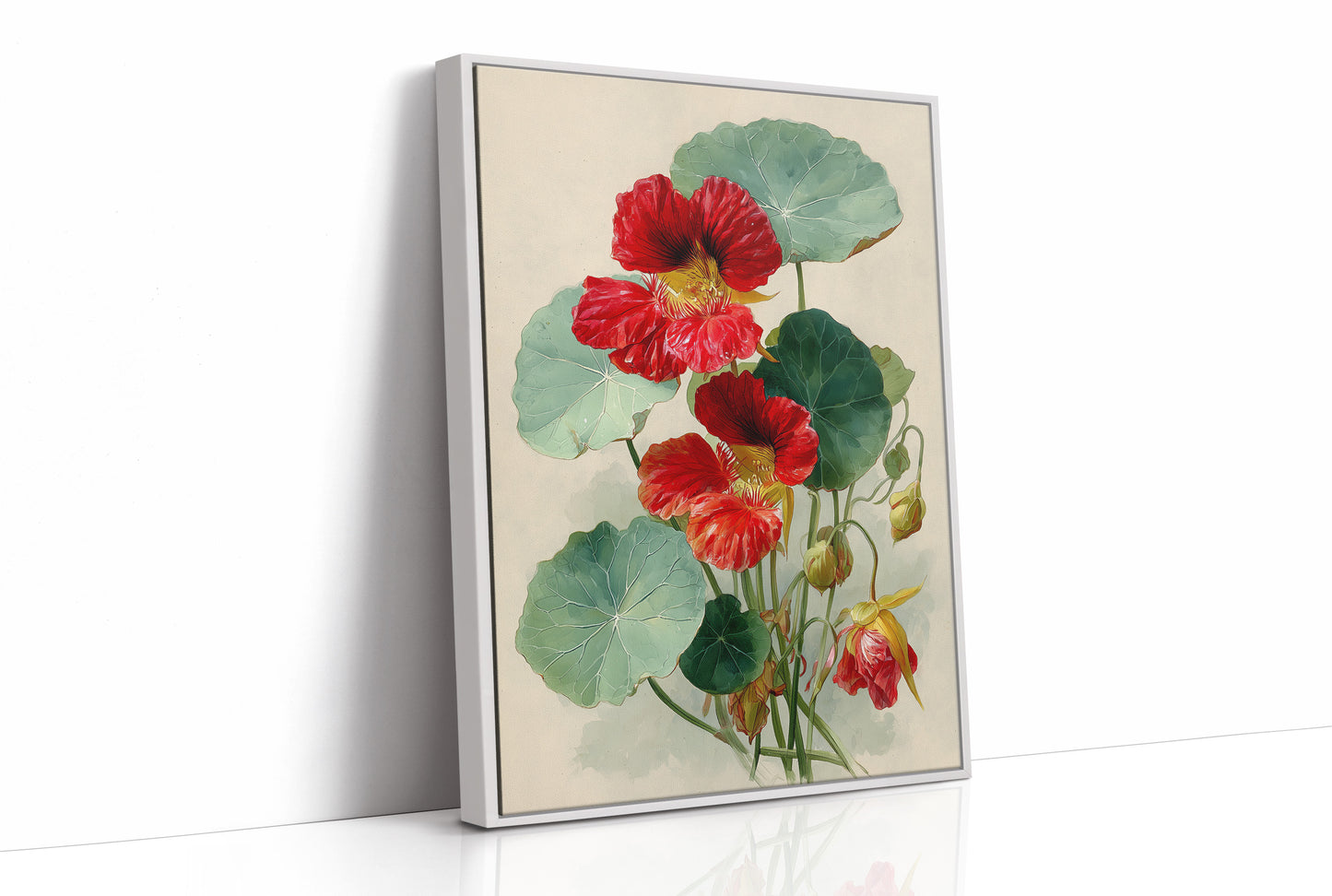 The Nasturtium Never Apologises