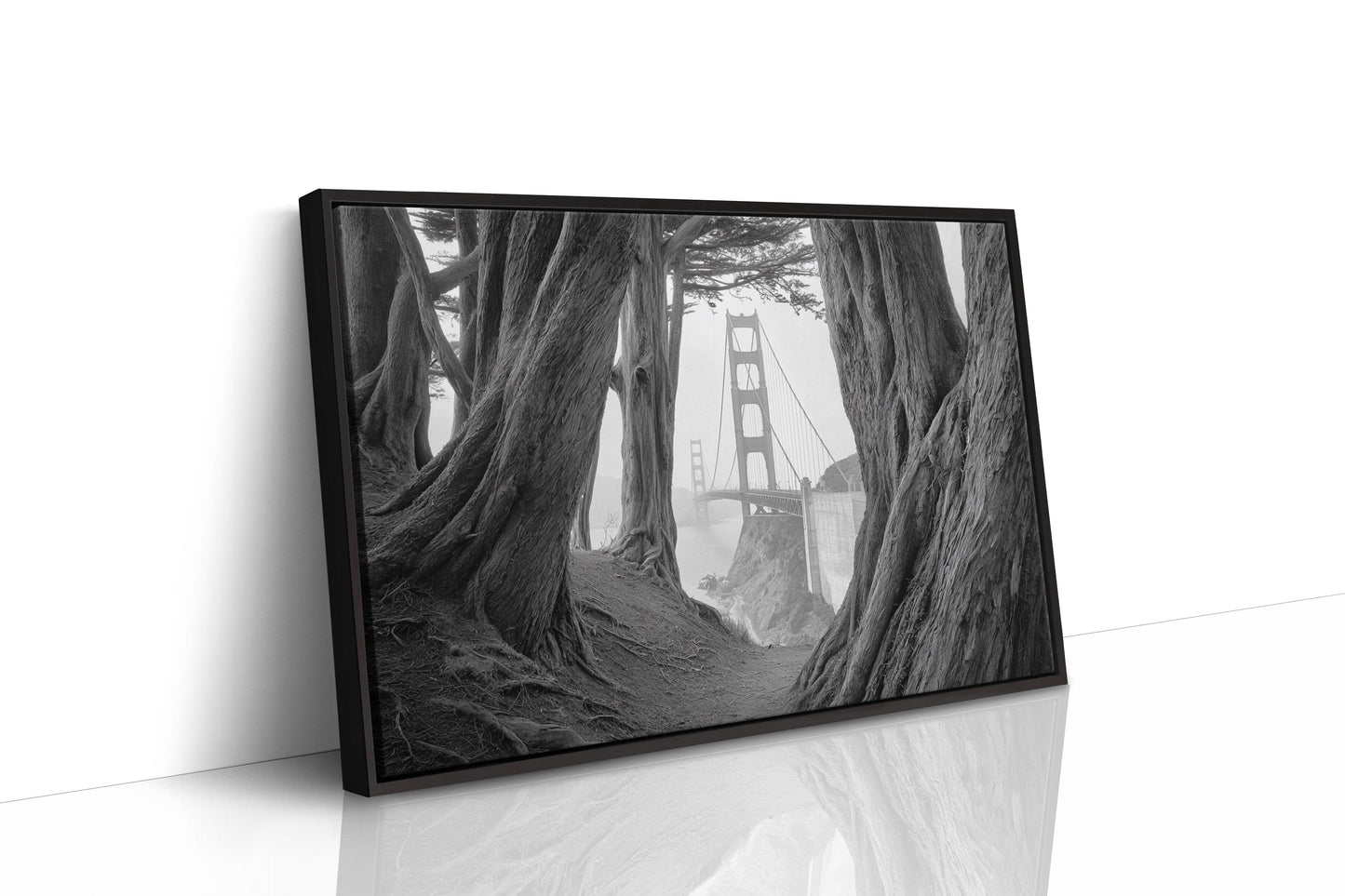 Ancient Trees Frame City Dreams