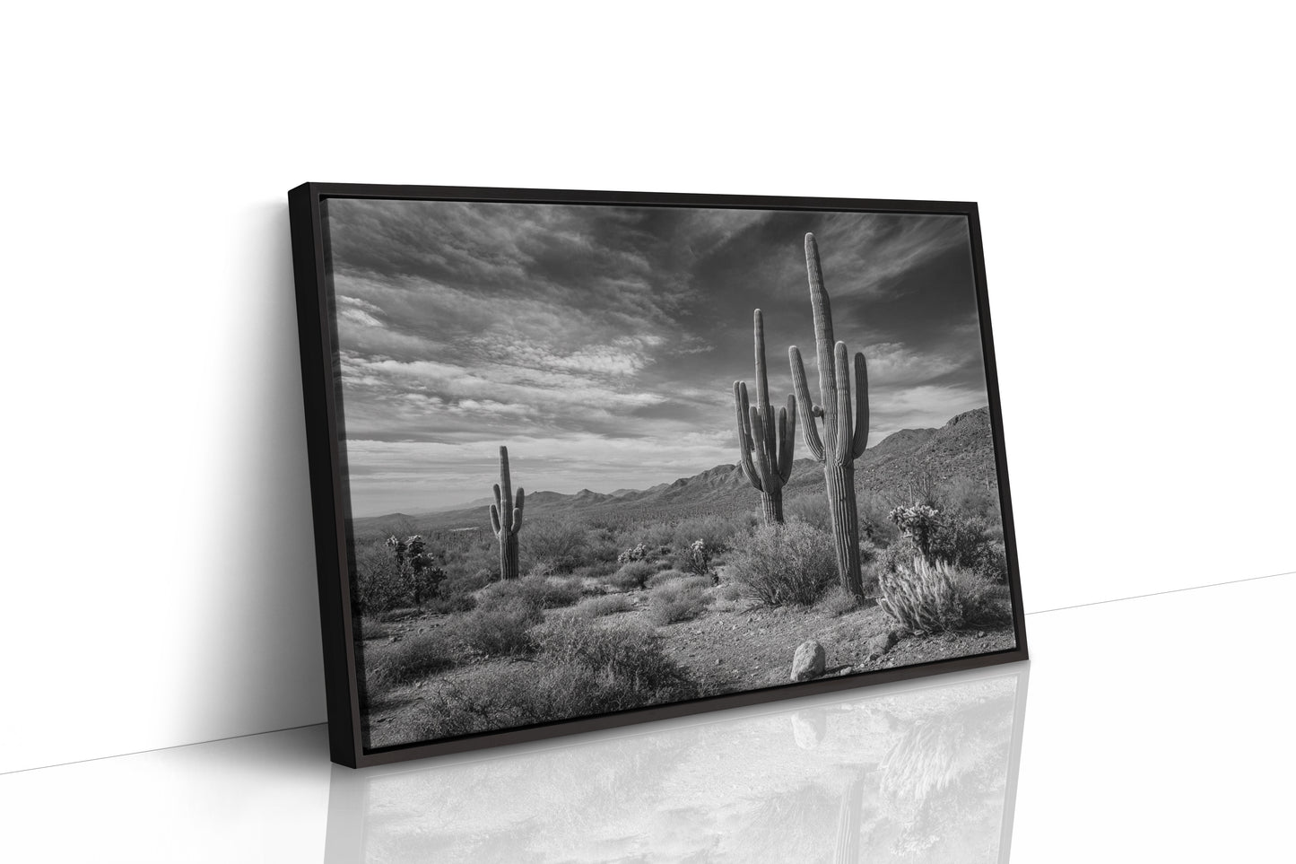 Tall Tales From Sonoran Skies