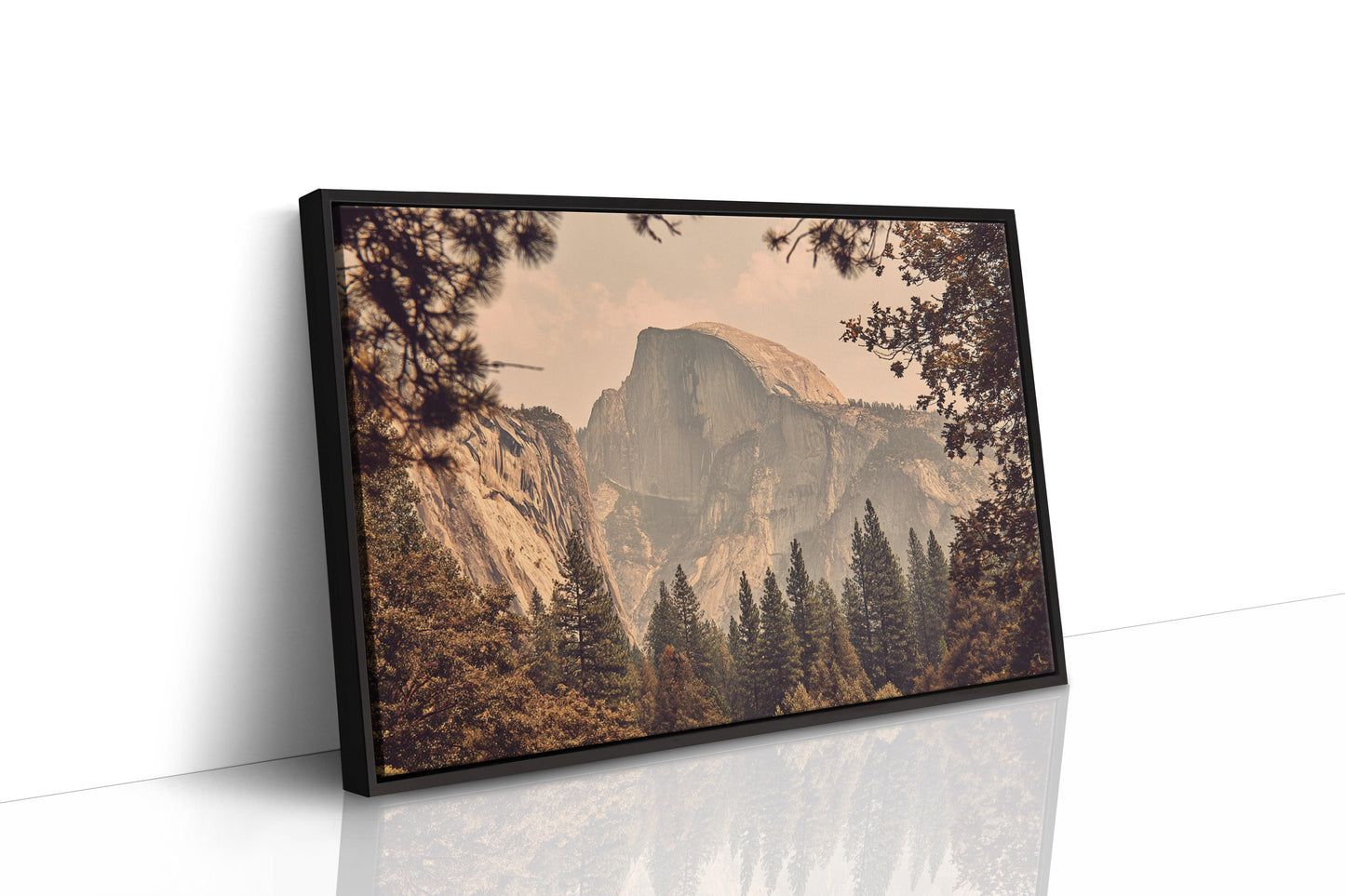 Ancient Granite Catches Golden Light