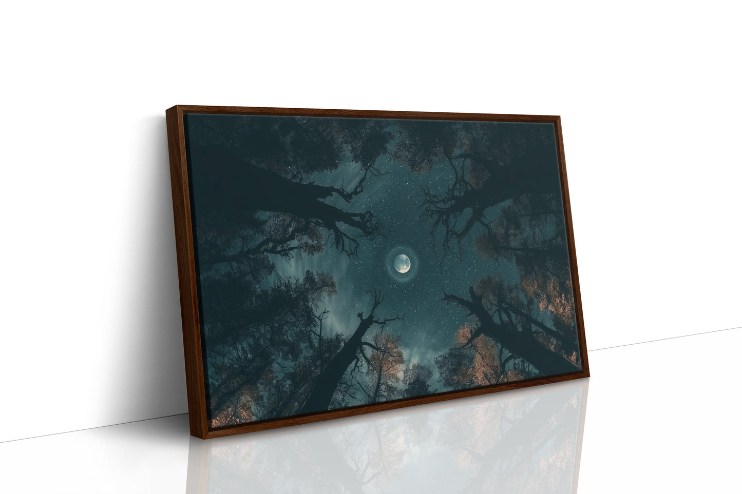 Moon, Through the Canopy