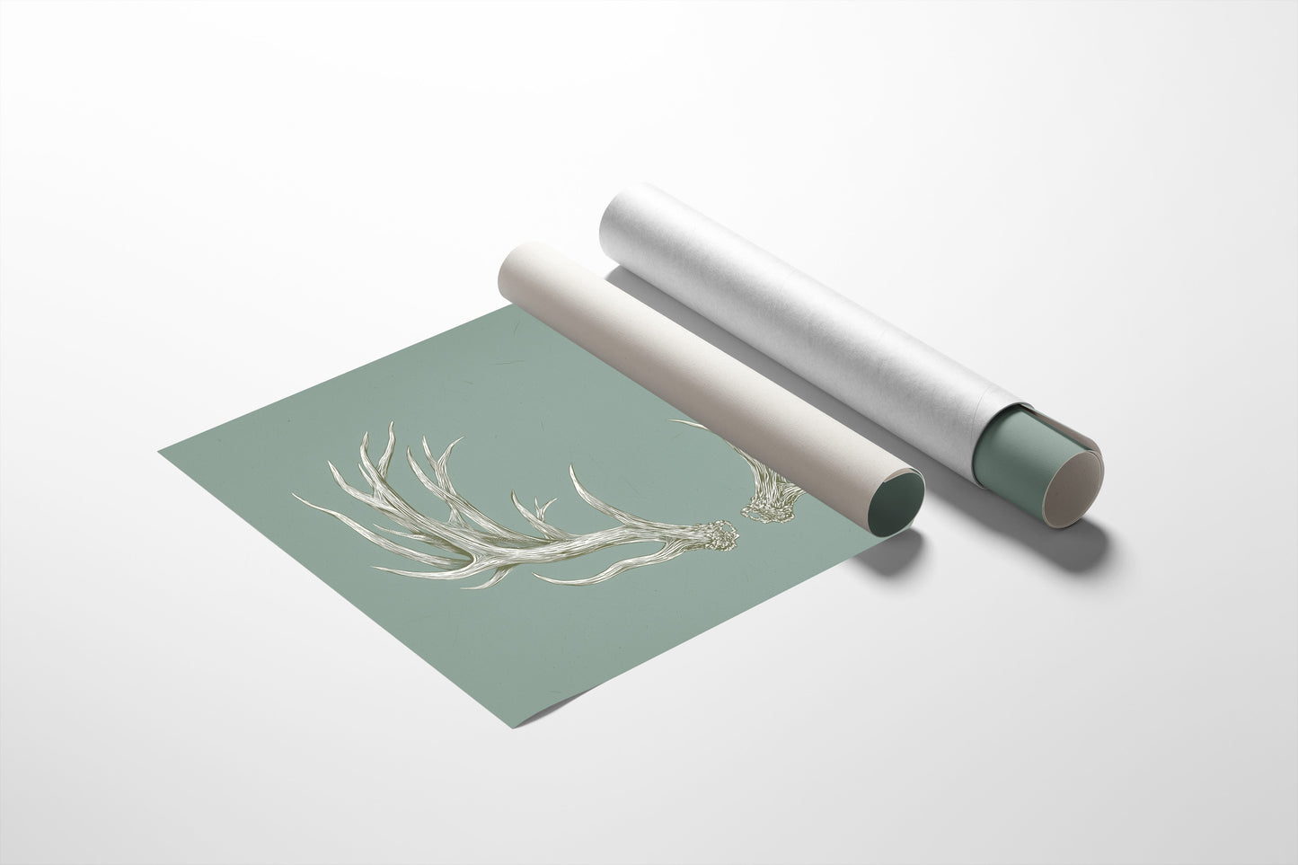 Winter Antlers Paint Sage Stories
