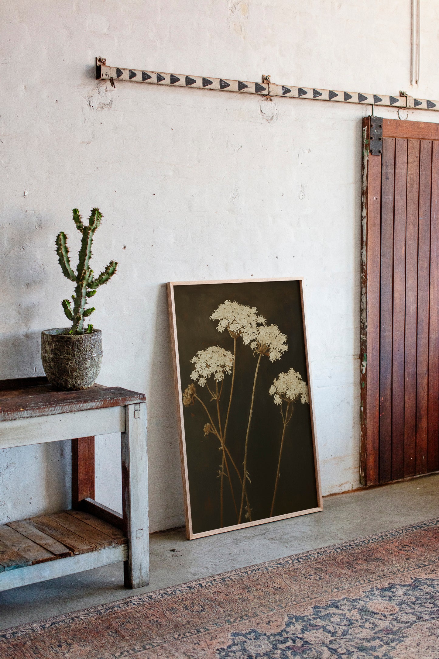 Queen Annes Lace in Late Autumn Light