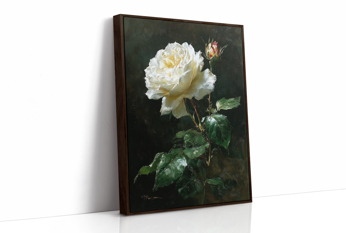 The White Rose Holds Its Light