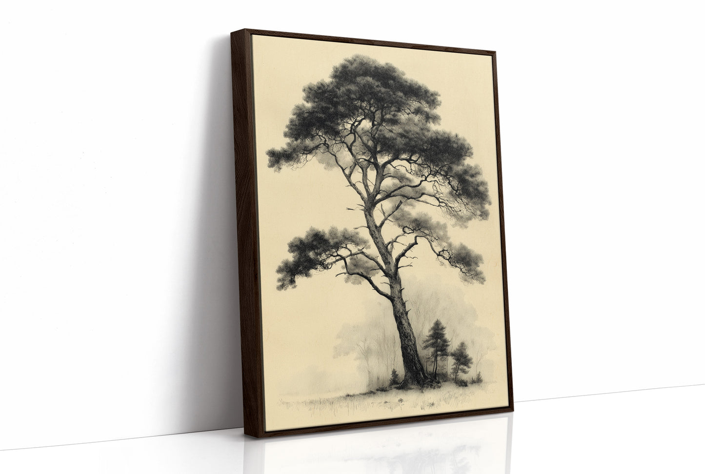 The Pine That Outlasted Everything