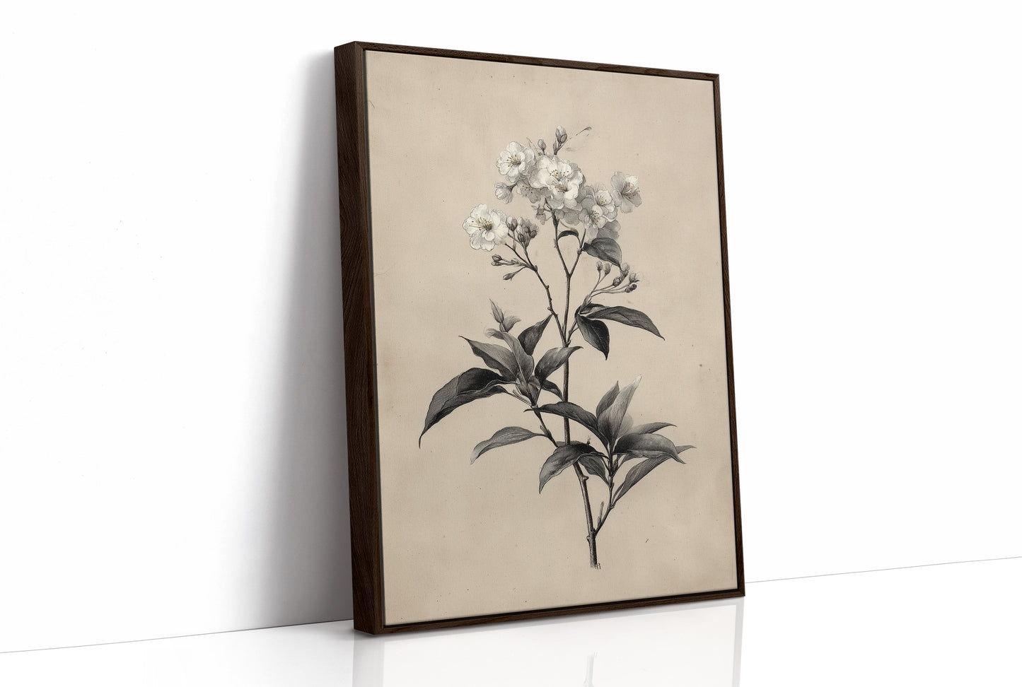 Drawn the Morning It Bloomed