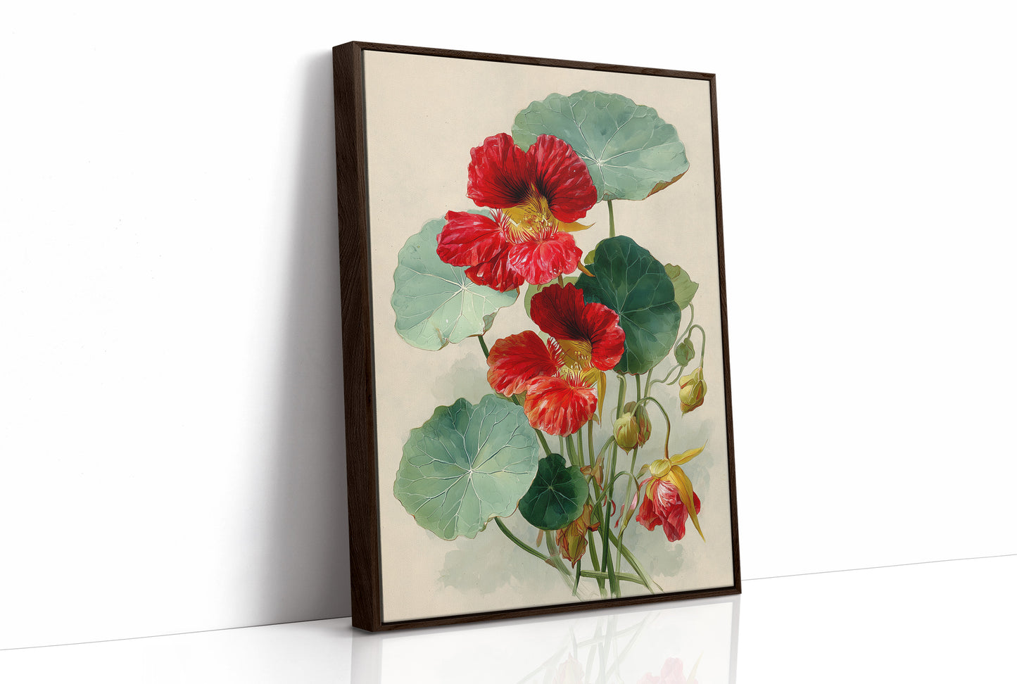 The Nasturtium Never Apologises