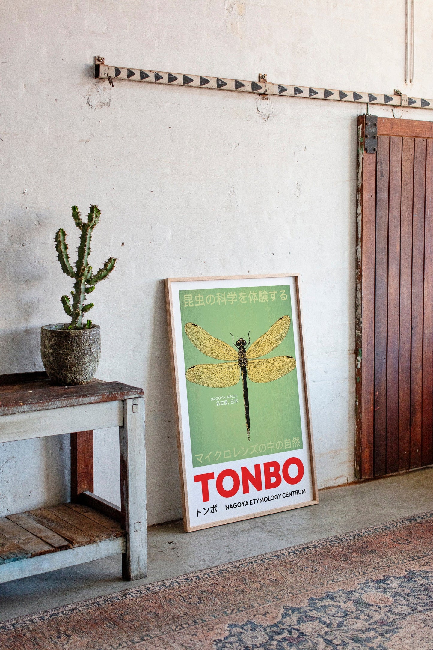 Tonbo – The Science of Dragonflies