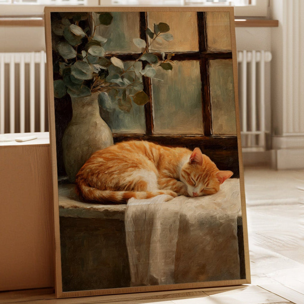 Naptime Beneath Sunlit Windows