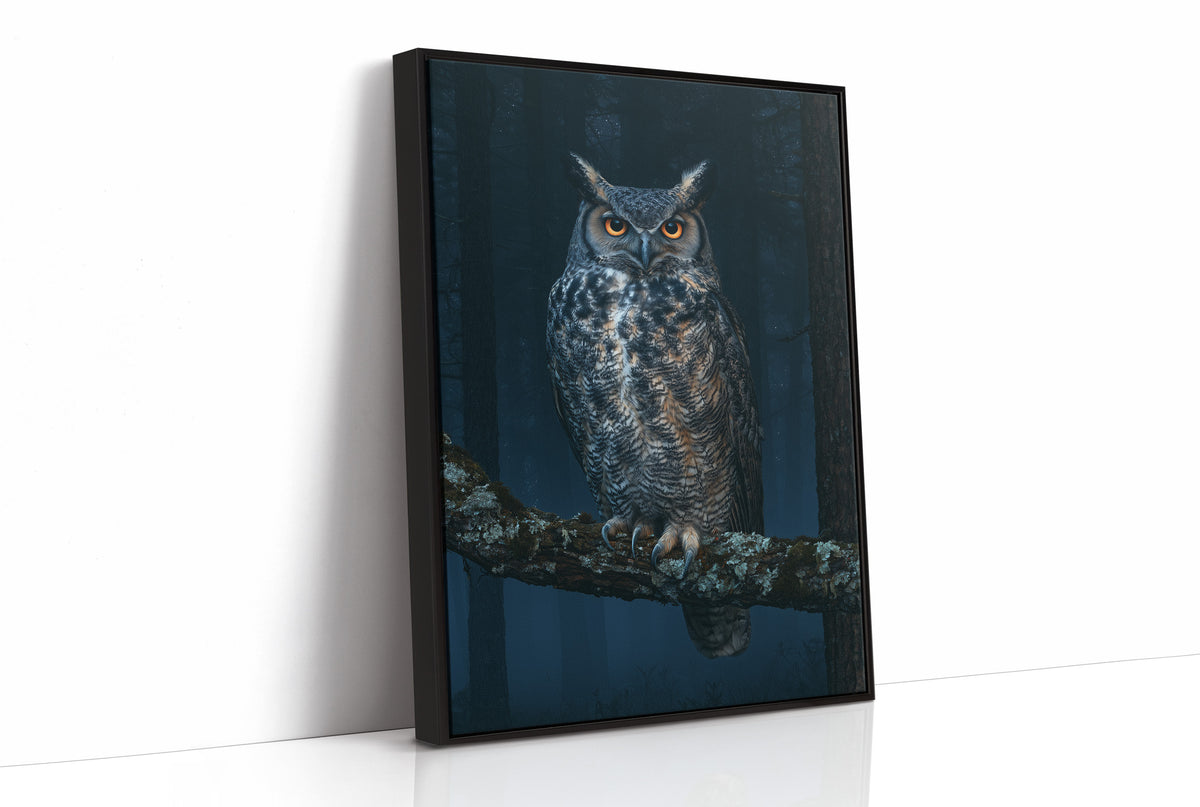 Great Horned Owl Night Portrait