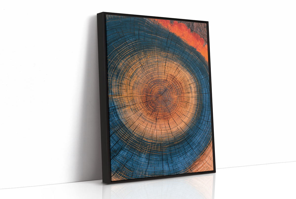 Cosmic Tree Ring Cross Section