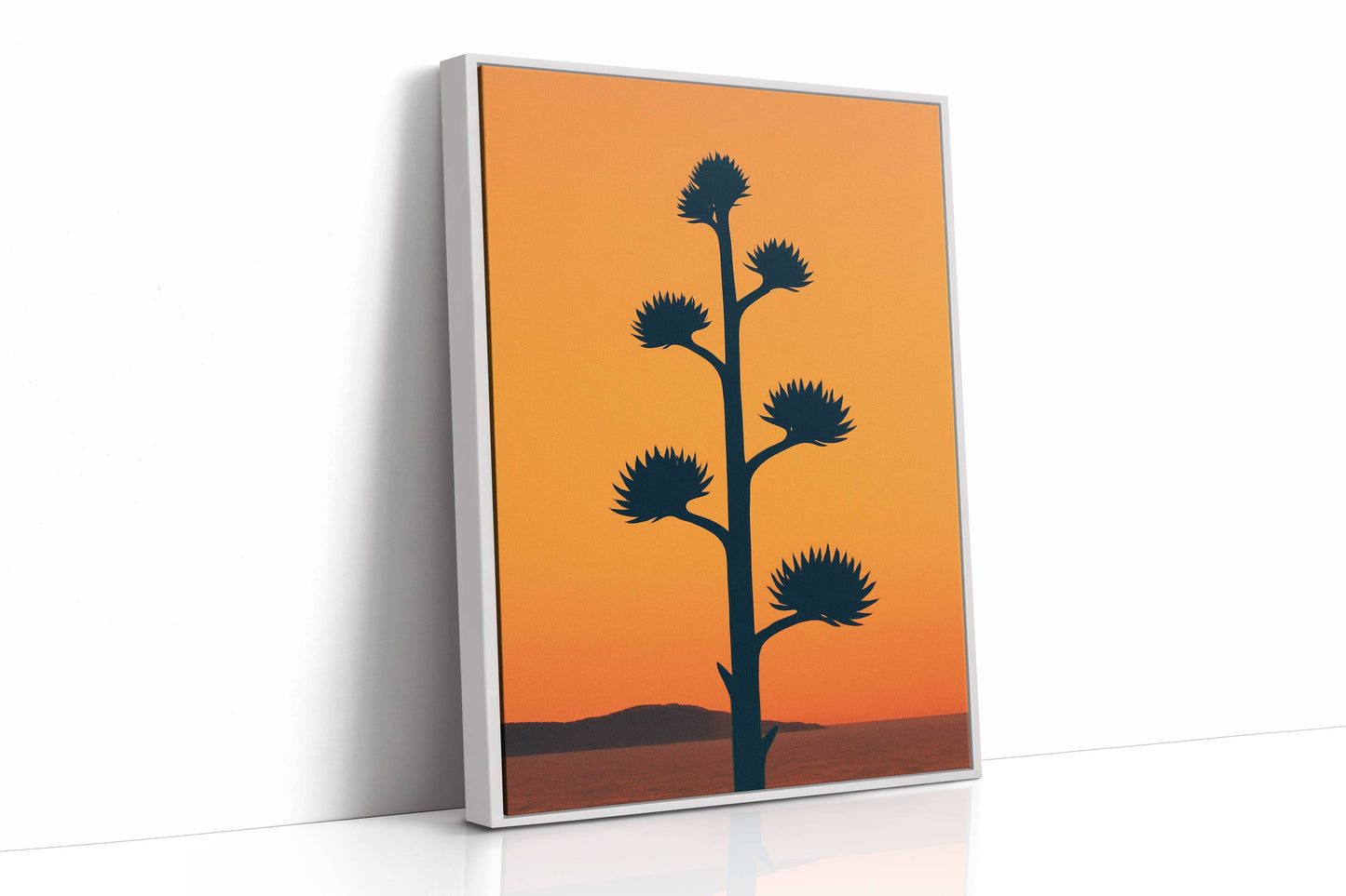 Desert Century Plant Meets Dusk