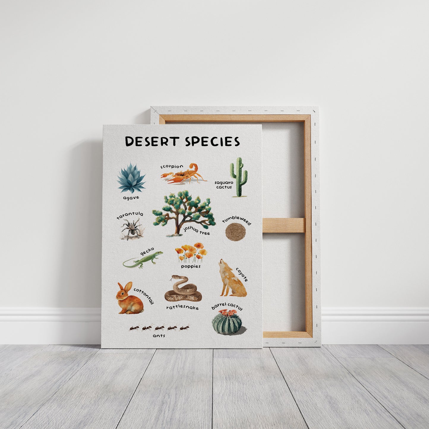 Arid Land Chronicles Illustrated