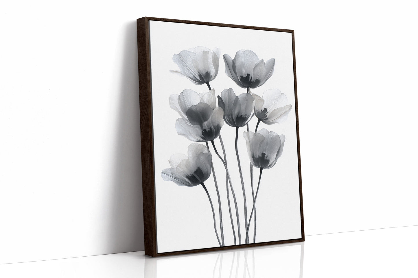 Tulips Dance In Silver Light