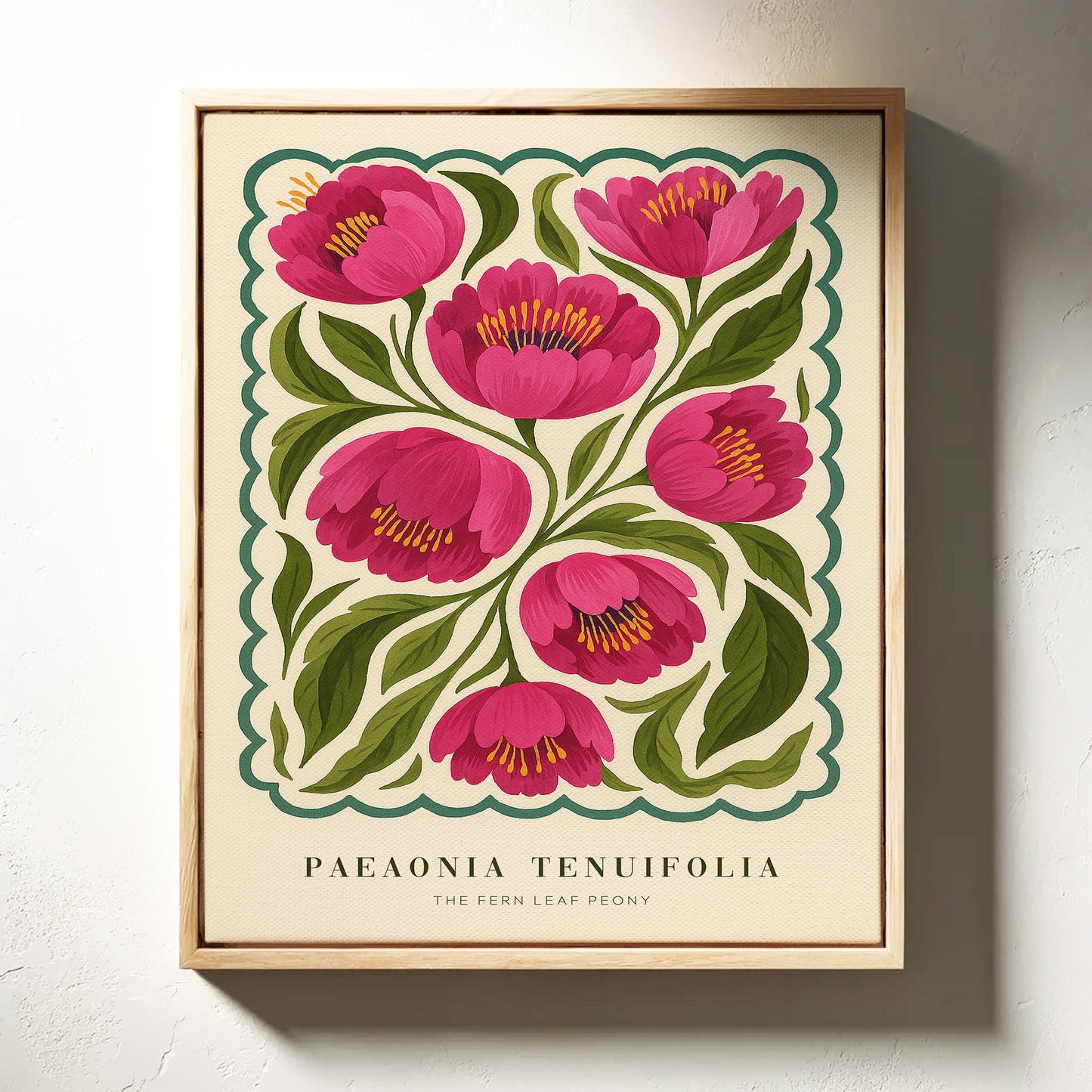 Peony Study No. 5 – Soft Power in Bloom