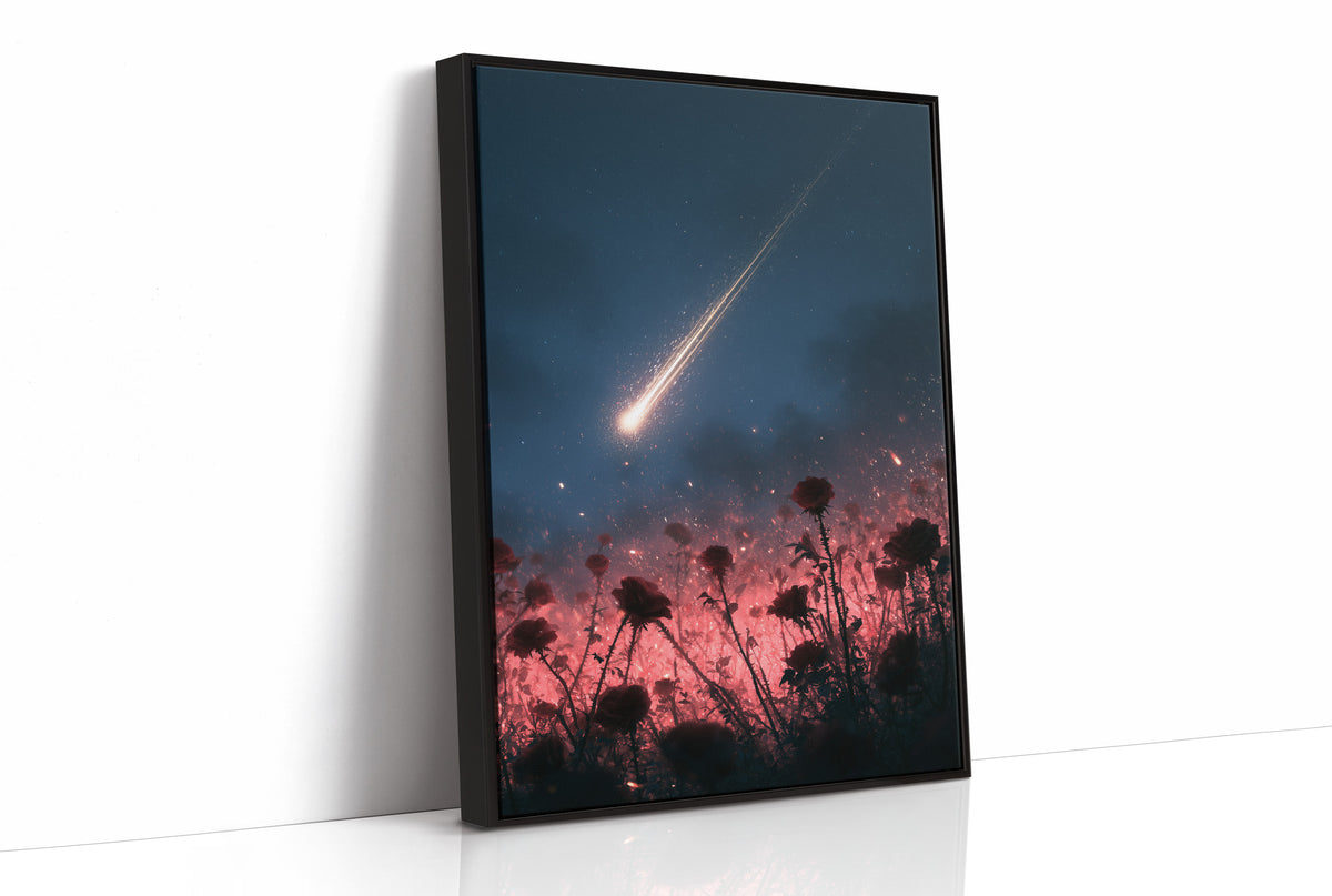 Shooting Star Over Rose Field