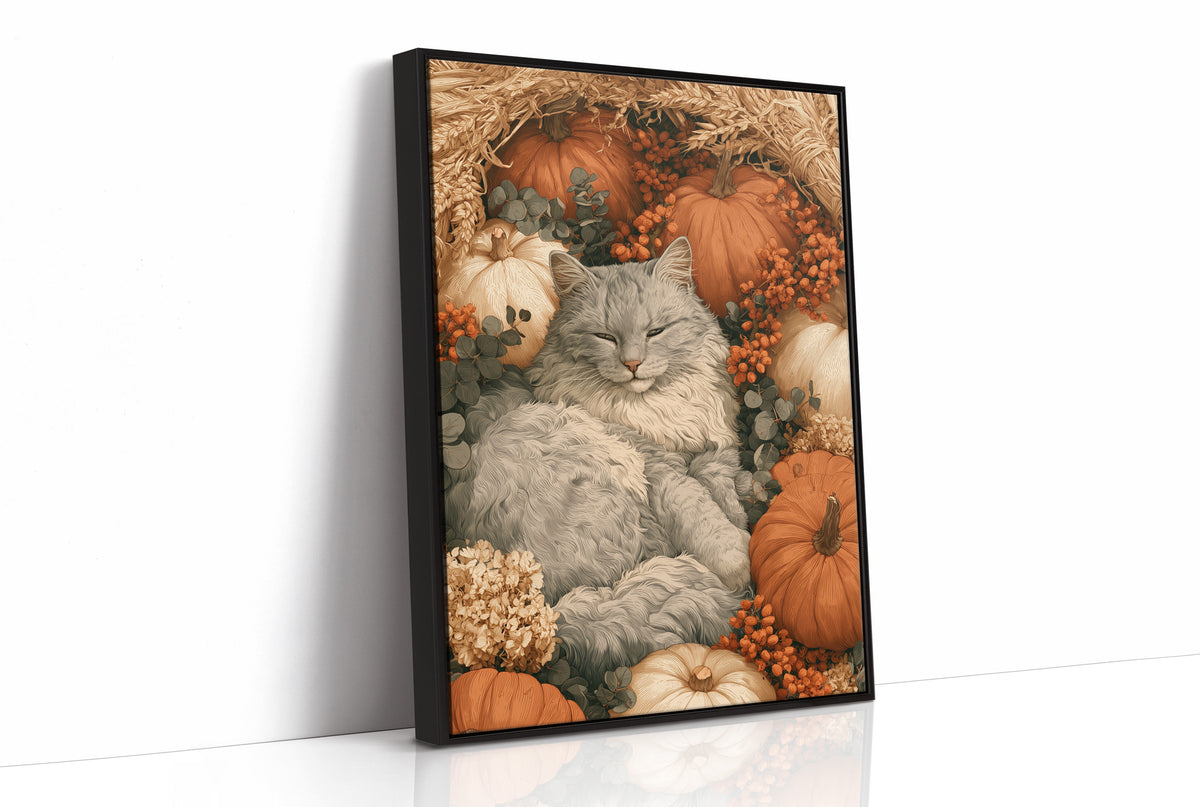 Dozing in the Pumpkin Patch