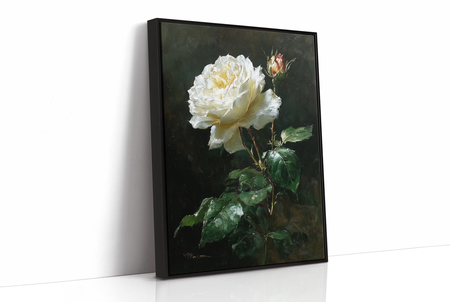 The White Rose Holds Its Light