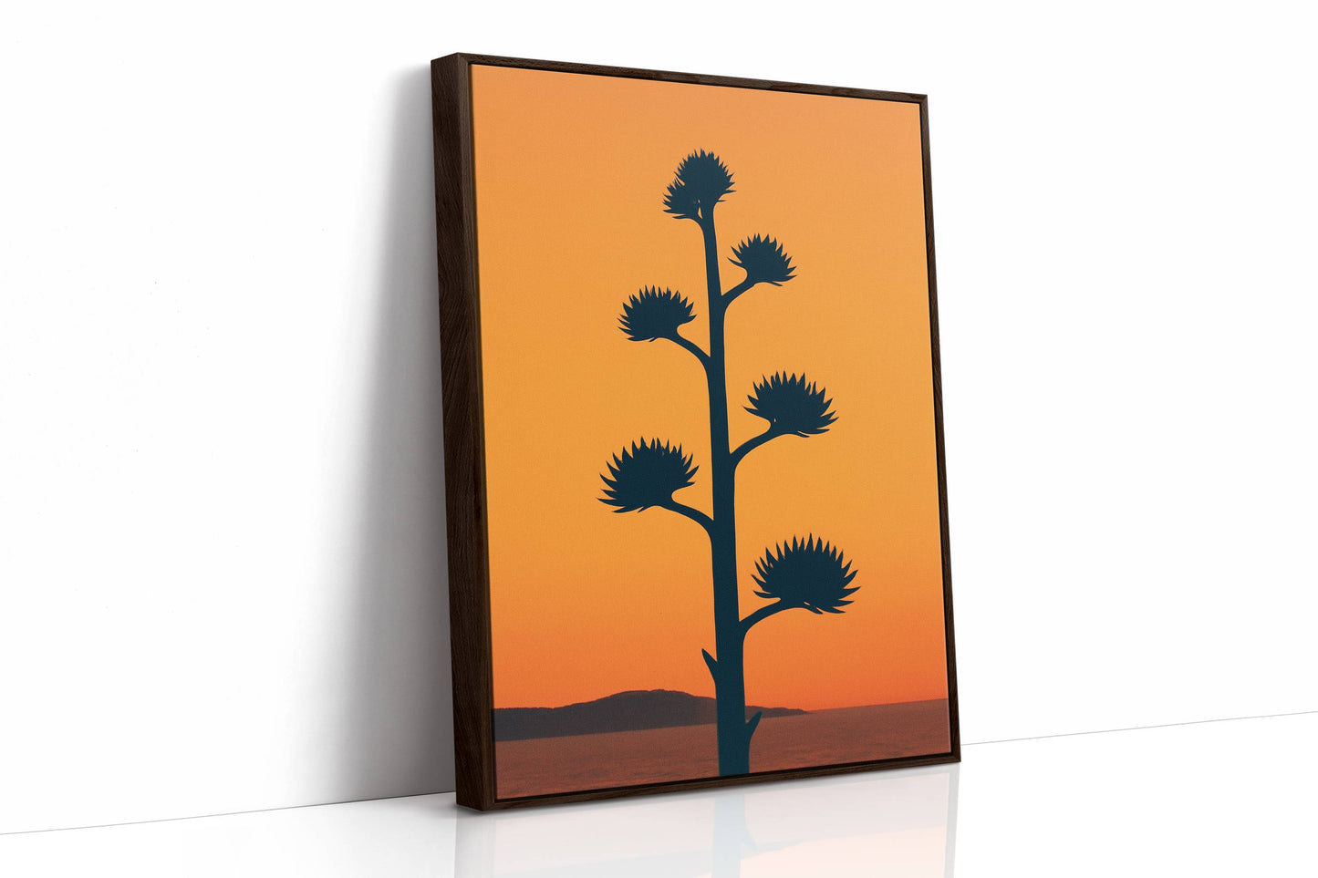 Desert Century Plant Meets Dusk