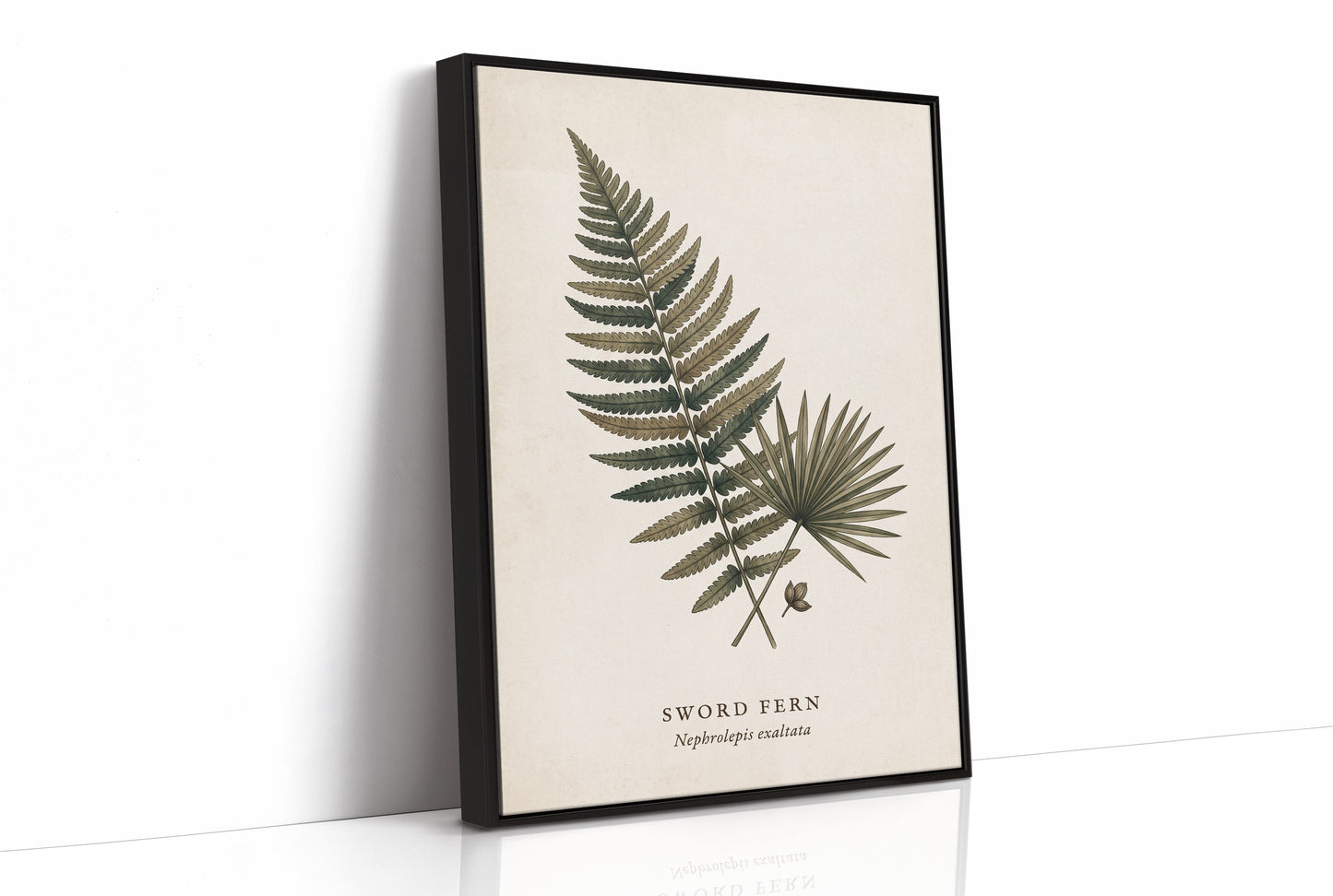 Vintage Herbarium