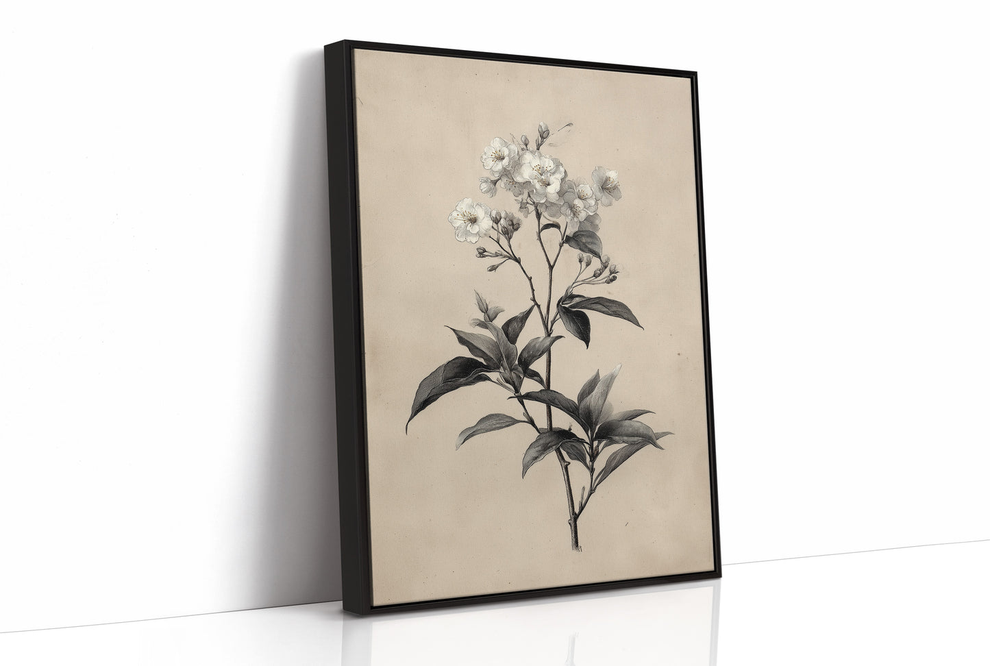 Drawn the Morning It Bloomed