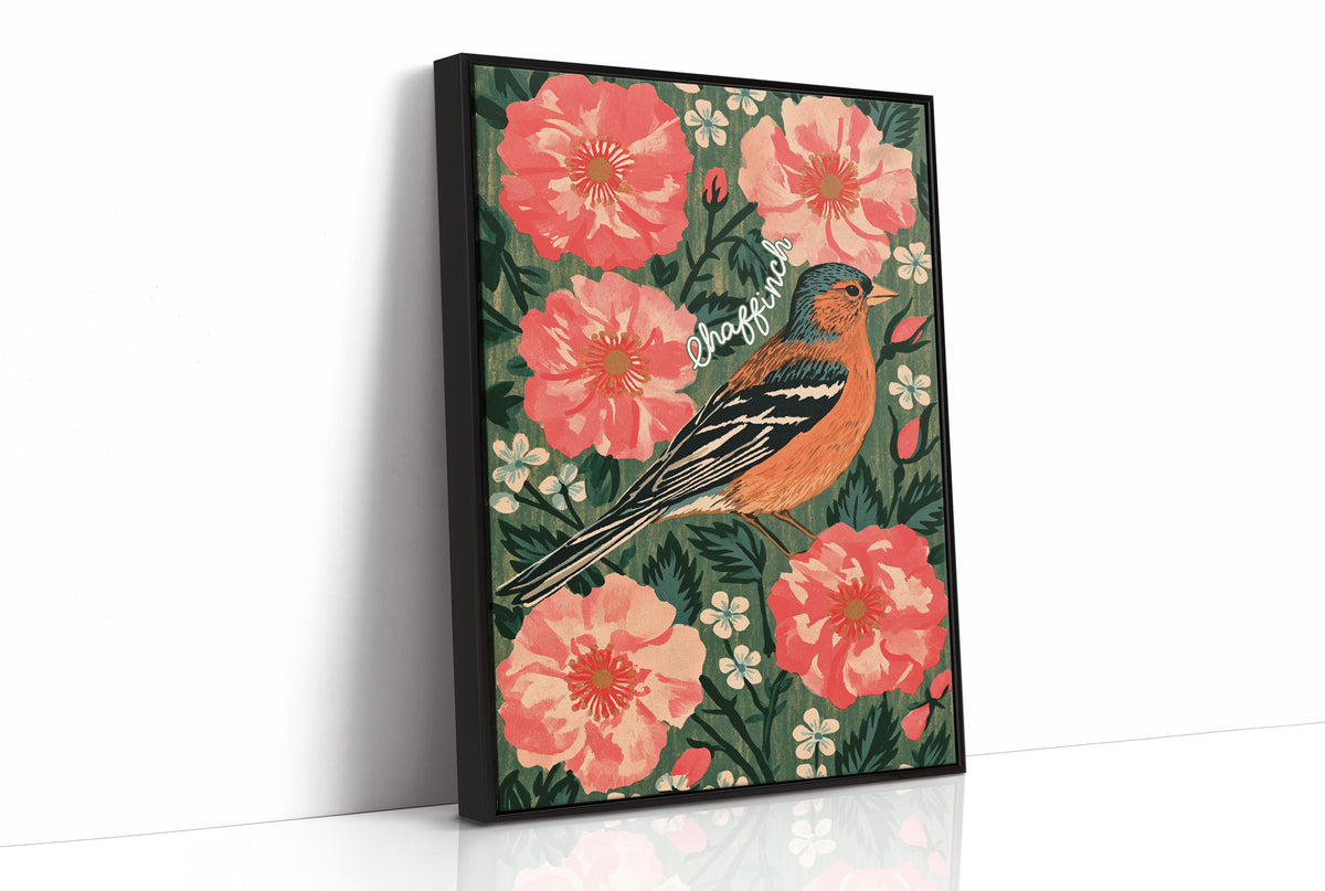 Chaffinch in Full Bloom